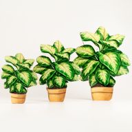Wooden House Plants - Large Pansy