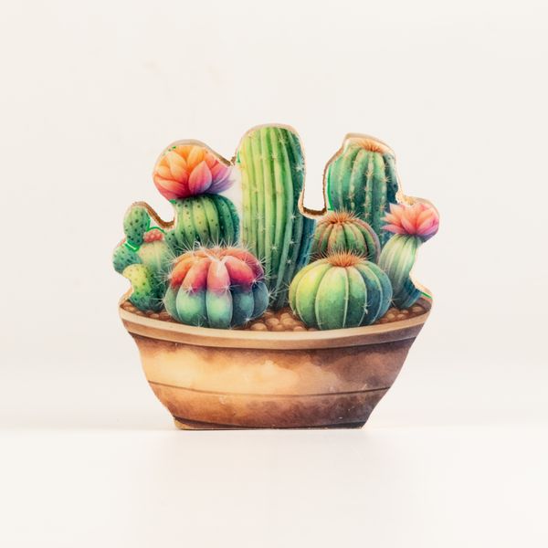 Wooden House Plants - Mini Cactus Garden