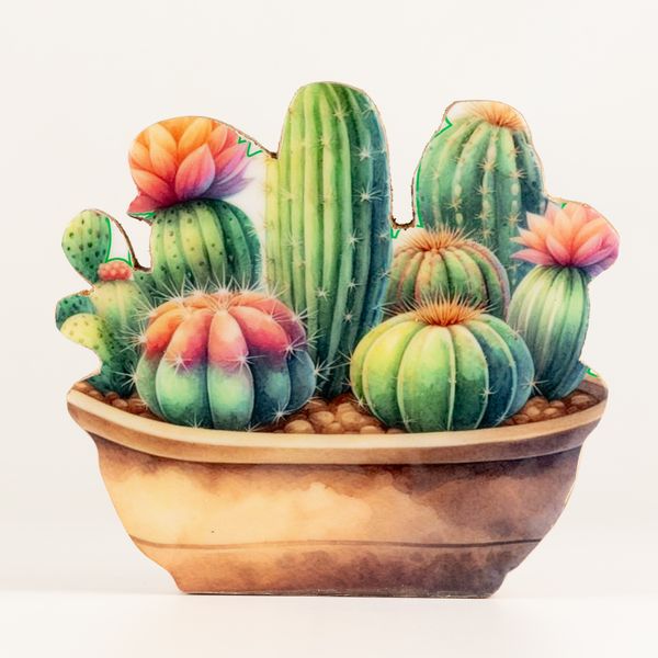 Wooden House Plants - Medium Cactus Garden