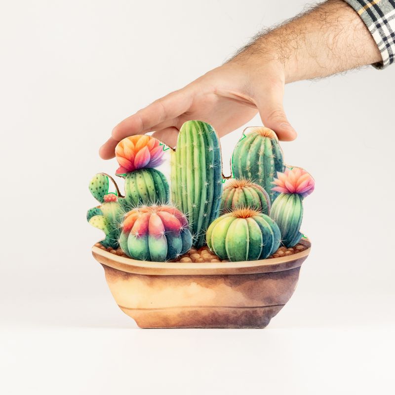 Wooden House Plants - Medium Cactus Garden