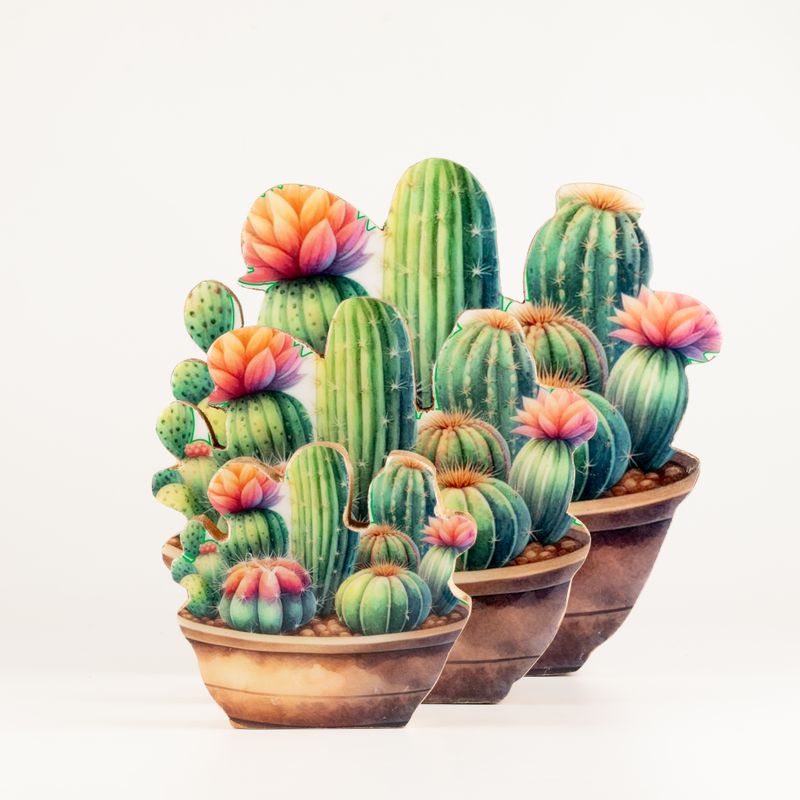 Wooden House Plants - Large Cactus Garden