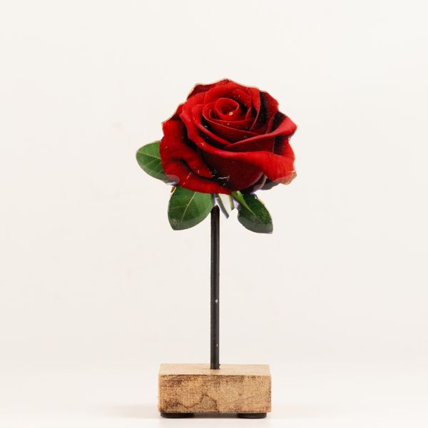 Wooden House Plants - Mini Single Rose