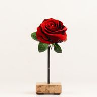 Wooden House Plants - Mini Single Rose