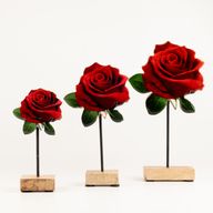 Wooden House Plants - Mini Single Rose