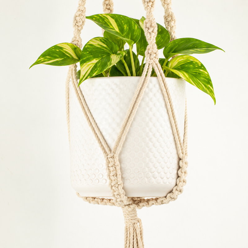 Simple Macrame Pot Holder - Natural