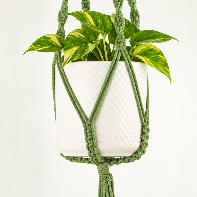 Simple Macrame Pot Holder - Green