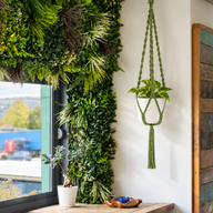 Simple Macrame Pot Holder - Green