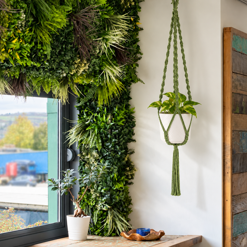 Simple Macrame Pot Holder - Green