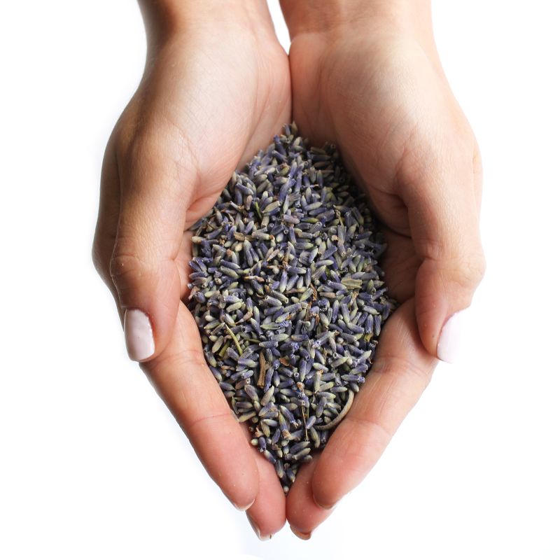 Lavender Flowers (1KG)