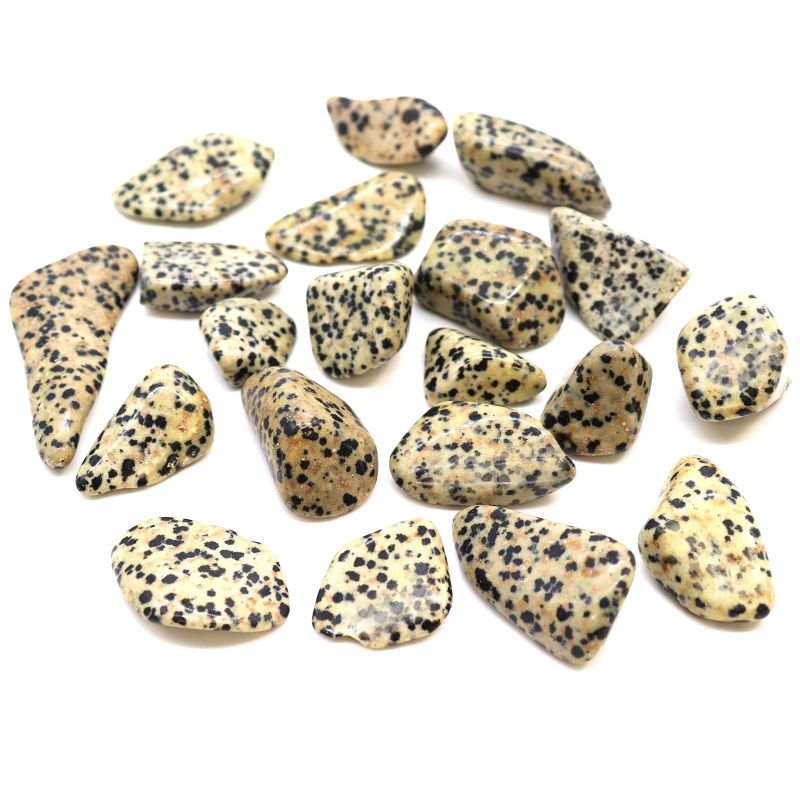 L Tumble Stones - Dalmatian Jasper L