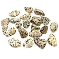 L Tumble Stones - Dalmatian Jasper L