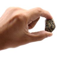 L Tumble Stones - Dalmatian Jasper L