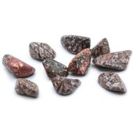 L Tumble Stones -  Leopard Skin Jasper L