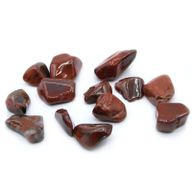 L Tumble Stones - Petrified Wood L