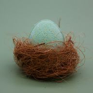 Bath Eggs - Mango