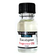 Eucalyptus Fragrance Oil 10ml
