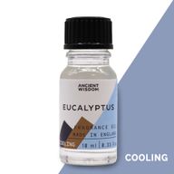 Eucalyptus Fragrance Oil 10ml
