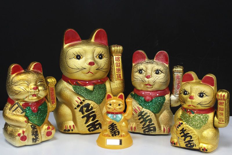 V.Large Money Cat