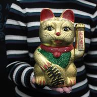 Large Money Cat