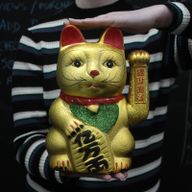 V.Large Money Cat