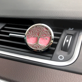 Car Aromatherapy - Starter Kit