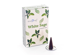 12x Stamford White Sage Cones
