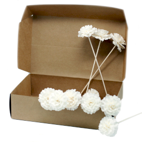 12x Natural Diffuser Flowers - Carnation on Reed