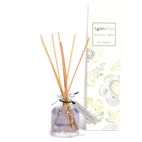 3x 140ml Reed Diffuser - Seasalt and Moss