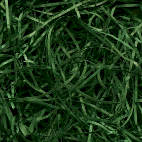 Very Fine Shredded paper - Forest Green (0.5)