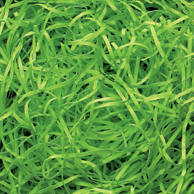 Very Fine Shredded paper - Lime Green (10KG)