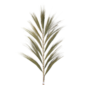 3x Rayung Grass Natural - 1.6m