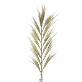 3x Rayung Grass Blond - 1.6m