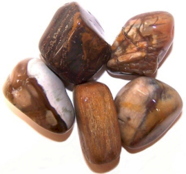 24x Medium Tumble Stone - Petrified Wood