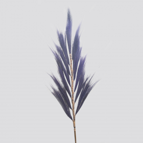 3x Rayung Grass Lavender- 1.6m