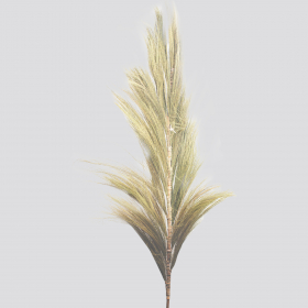 3x Rayung Grass Natural - 2m