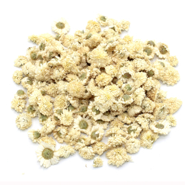 Roman chamomile (flower) - 1kg