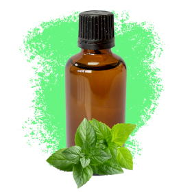 10x Peppermint 50ml - White Label