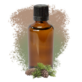 10x Pine Sylvestris (Scots Pine) 50ml - White Label