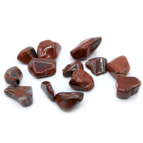 24x L Tumble Stones - Petrified Wood L