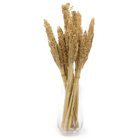 6x Sorghum Grass Bunch - Natural