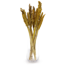 6x Sorghum Grass Bunch - Amber