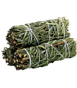 Rosemary Smudge Stick 10cm