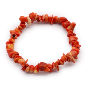 12x Chipstone Bracelet - Coralite Stone