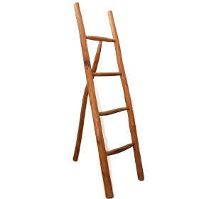 Large Teak Ladder - 1.5m - Natural