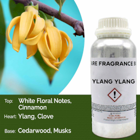 Ylang-Ylang Pure Fragrance Oil - 500ml