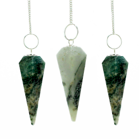 3x Magic Pendulum - Tree Agate