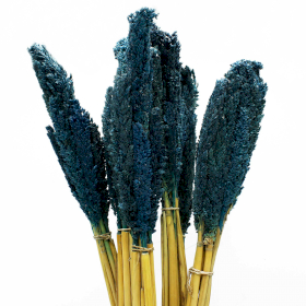 6x Sorghum Grass Bunch - Blue