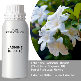 Jasmine Dilute Essential Oil - Bulk - 0.5Kg