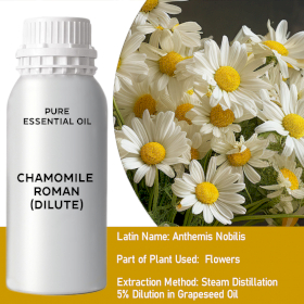 Chamomile (Dilute) Essential Oil - Bulk - 0.5Kg