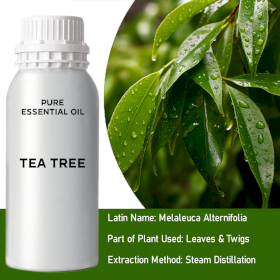 Tea Tree Essential Oil - Bulk - 0.5Kg